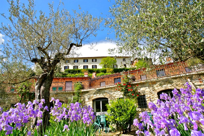 Romantico matrimonio in fattoria
