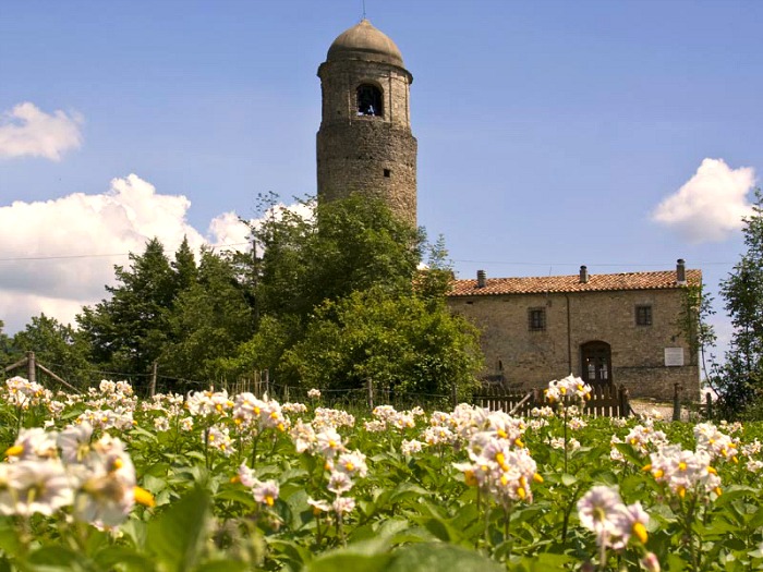 ricevimenti di matrimonio - Toscana - Massa Carrara - Agriturismo in Appennino